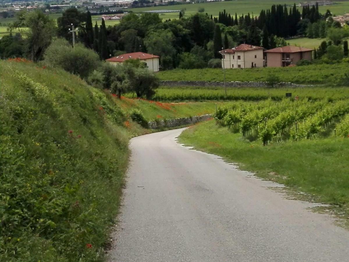 B&B Corte Giare SantʼAmbrogio di Valpolicella Εξωτερικό φωτογραφία