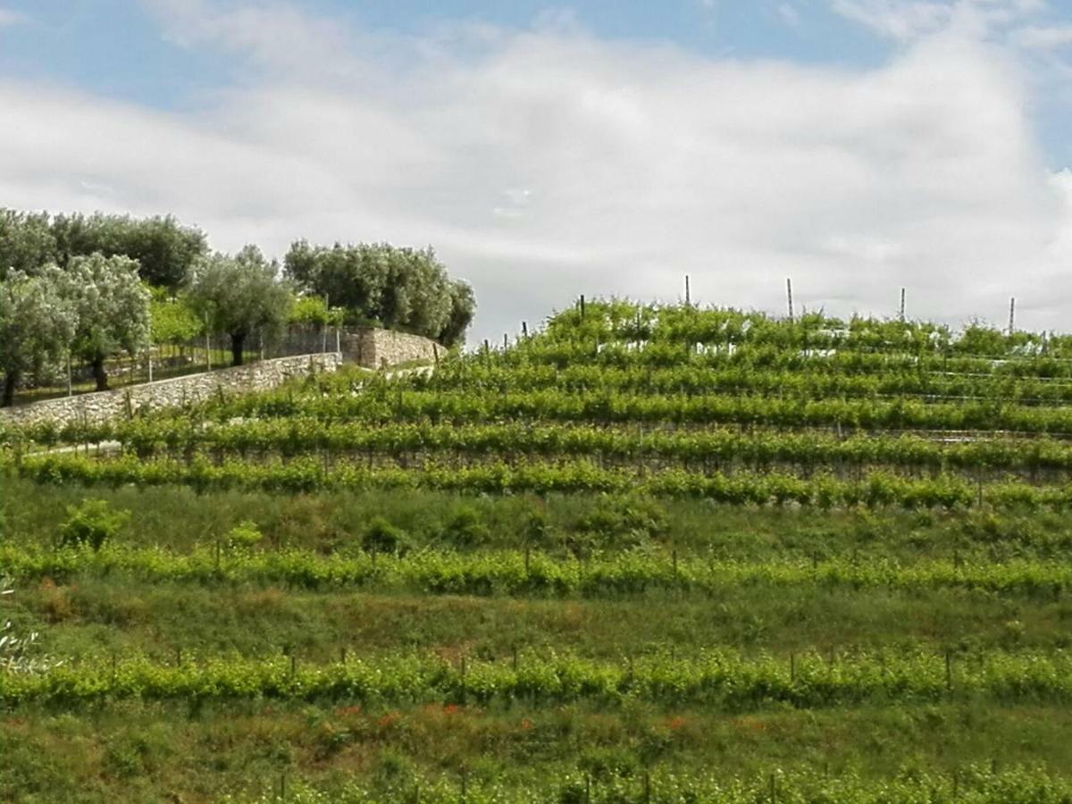 B&B Corte Giare SantʼAmbrogio di Valpolicella Εξωτερικό φωτογραφία